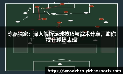 陈磊独家：深入解析足球技巧与战术分享，助你提升球场表现